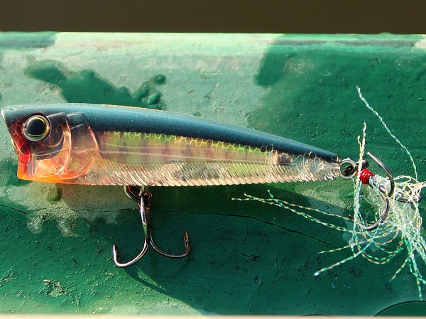 Изображение Поппер YO-ZURI. Здесь играет на солнца и дает блик каждый элемент декора - чешйки внутри корпуса, жаберные крышки, объемные 3D глаза, складки на брюшке и люрекс на хвосте. Фото: Евгений Кузнецов.