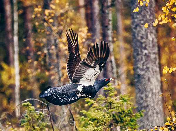 Изображение ФОТО: shutterstock 