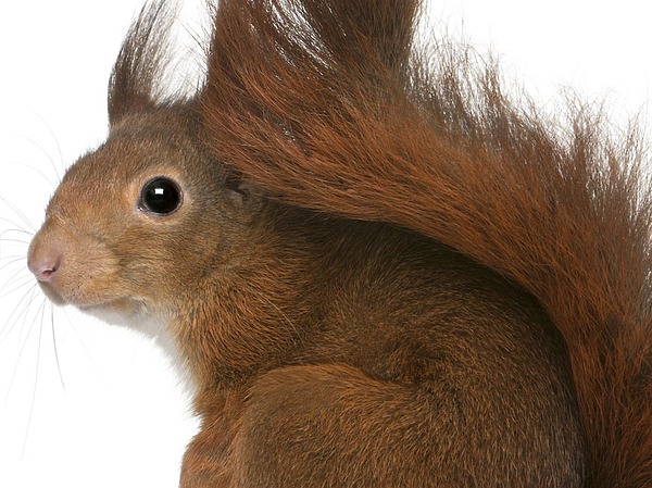 Изображение фото: fotolia.com