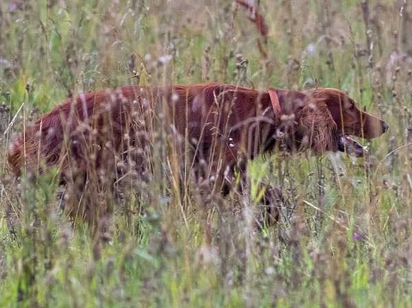 Изображение Фото: Константин Шмыгин 