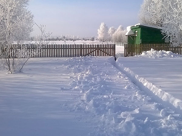Изображение В этот раз все засидки удалось организовать недалеко от моего участка. Фото автора.