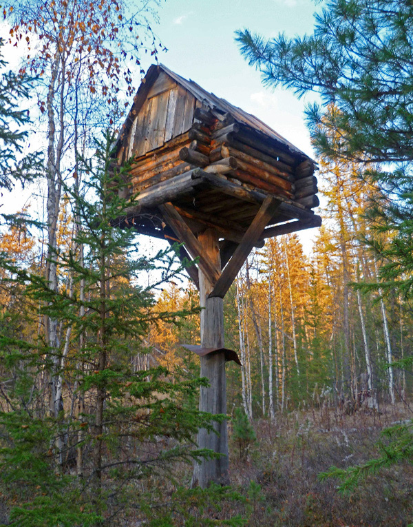 Изображение Фото автора