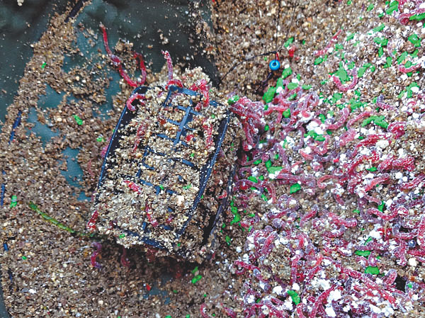 Изображение Фото: Мурашко Алексея. 