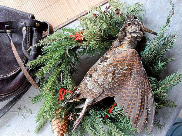 Изображение Фото автора. 