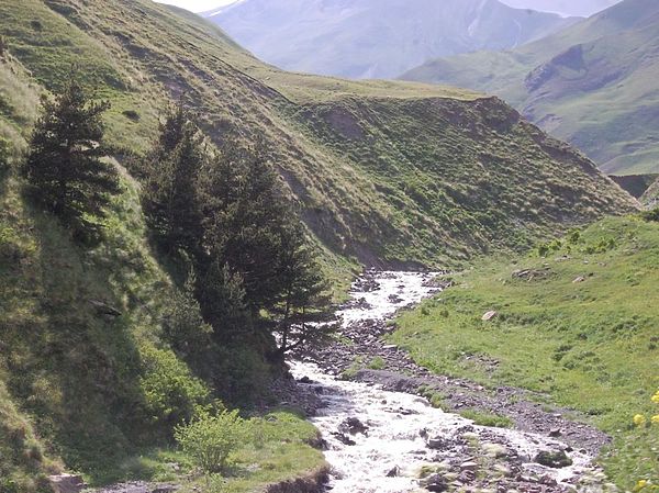 Изображение Фото: пресс-служба КаспНИРХ. 