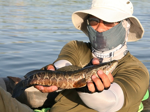 Изображение На озере найти и поймать его непросто. Фото: Кузнецова Евгения.