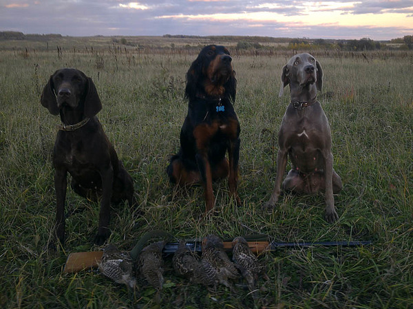 Изображение фото: Семина Михаила 