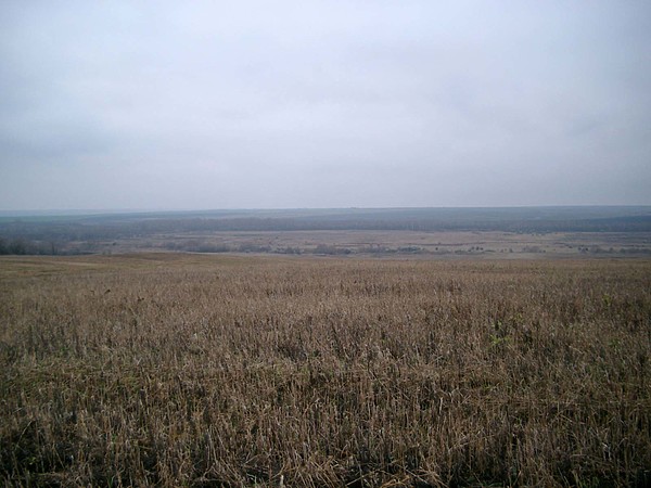 Изображение фото: Игнатова Валентина 