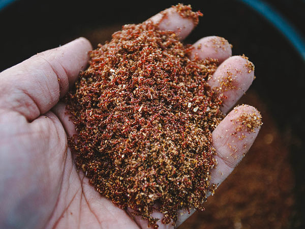 Изображение Фото: Мурашко Алексея.