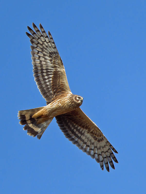 Изображение фото: Fotolia.com