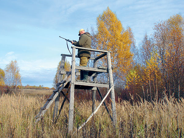 Изображение Полувышка не только улучшает обзор, но и гарантирует безопасность стрельбы
на номерах. Фото автора.