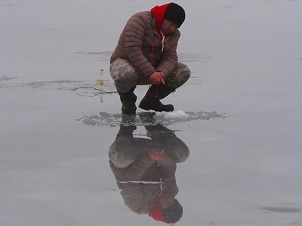 Изображение Фото: Алексей Коломиец. 