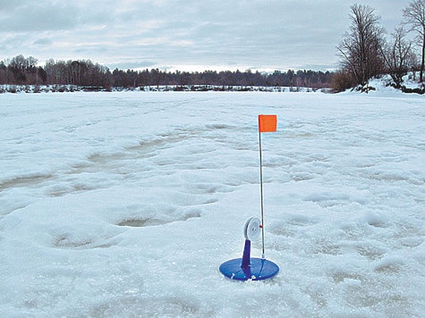 Изображение Фото: Токарева Александра. 