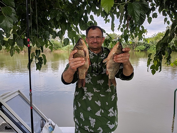 Изображение Карасики. Фото: Трембицкого Алексея.