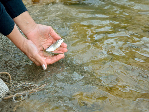 Изображение Фото: Шеляга Геннадия.