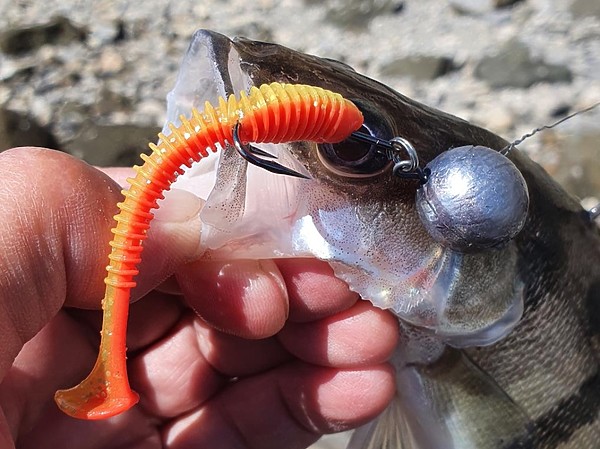 Изображение Фото: Коломийца Алексея.