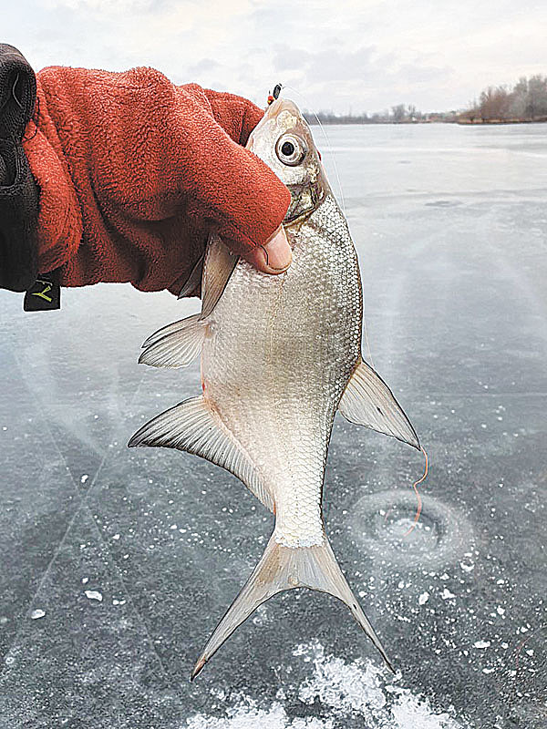 Изображение Фото: Коломийца Алексея.