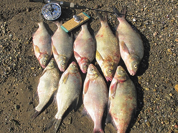 Изображение Фото: Елизарова Павла.