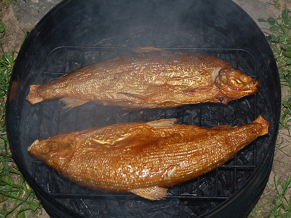 Изображение Фото: Яншевского Андрея. 