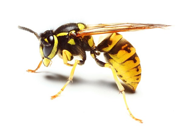 Изображение фото: Fotolia.com 