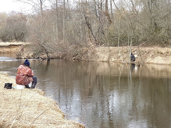 Изображение Фото: Мурашко Алексея.