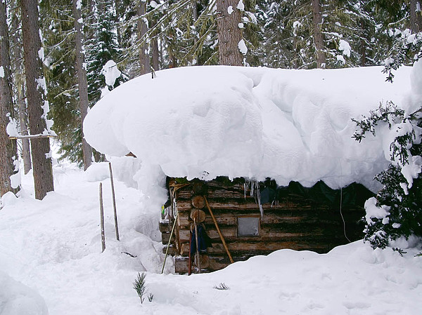 Изображение фото: Fotolia.com