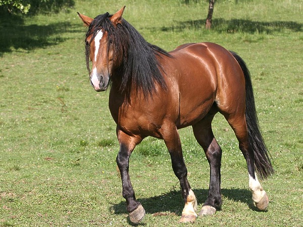 Изображение фото: Fotolia.com