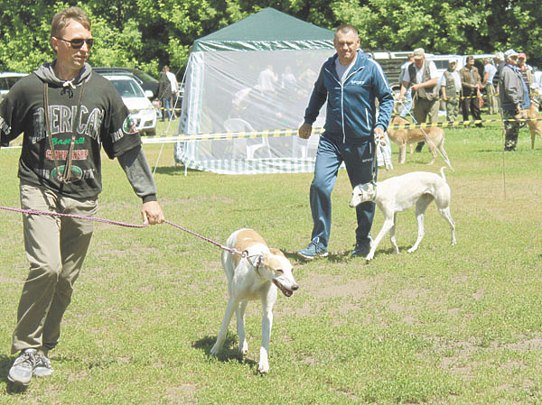 Изображение Фото автора. 