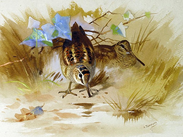 Изображение Работа Арчибальда Торнбурна