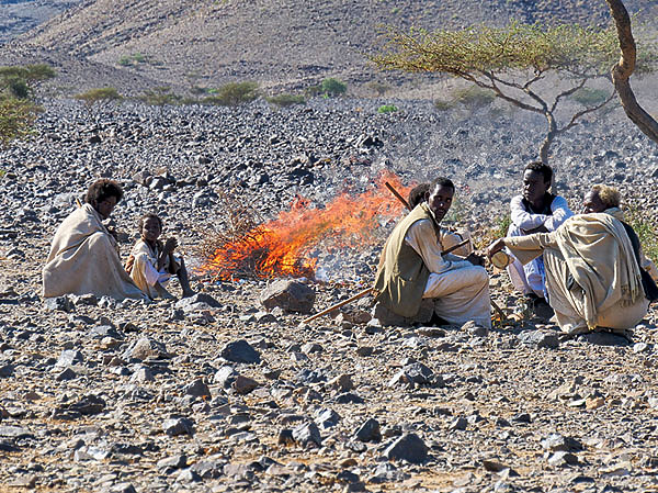 Изображение Чаепитие в пустыне. Фото автора.