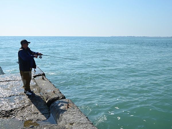 Изображение Для ловли лучше выбирать ясные солнечные дни. Фото: Геннадий Шеляг.
