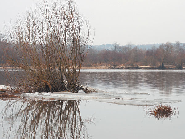 Изображение Фото: Николай Линник. 