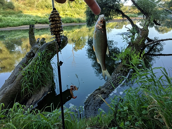 Изображение Еще одна радость. Фото: Трембицкого Алексея. 