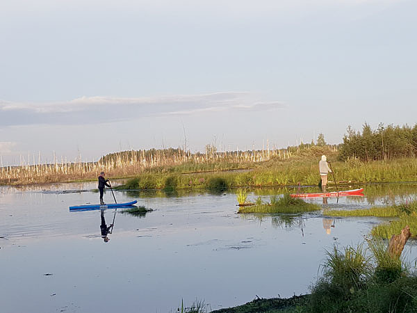 Изображение Шатурский район с его многочисленными водоемами известен любителям утиной охоты. ФОТО: Ринат Зайнетдинов