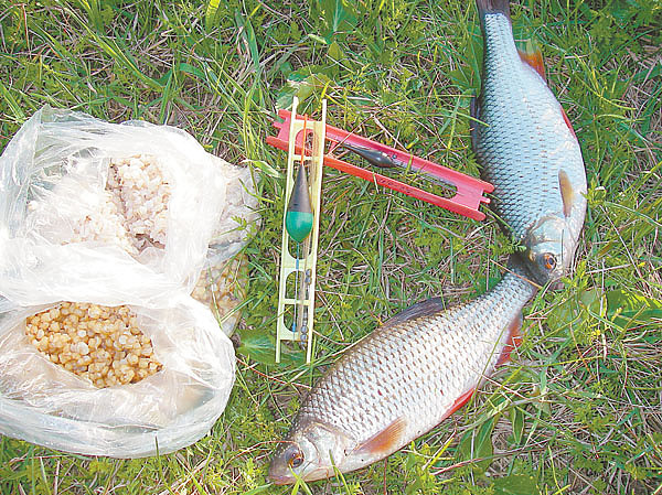 Изображение Фото: Маилкова Анатолия.