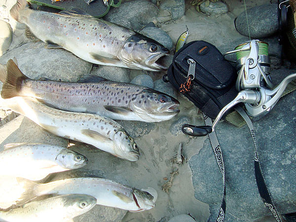 Изображение Удачная рыбалка оканчивается примерно так. Фото: Шеляга Геннадия.