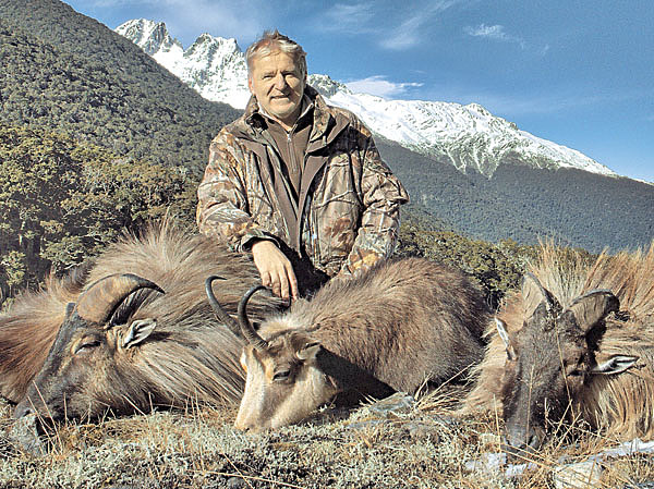 Изображение 50 000 особей — максимальная численность гималайского тара, уничтожившего растительный покров на 7 тыс. км2 Южного острова. С 1993 года разрешенная популяция этих животных составила 10 тысяч голов. Фото автора.