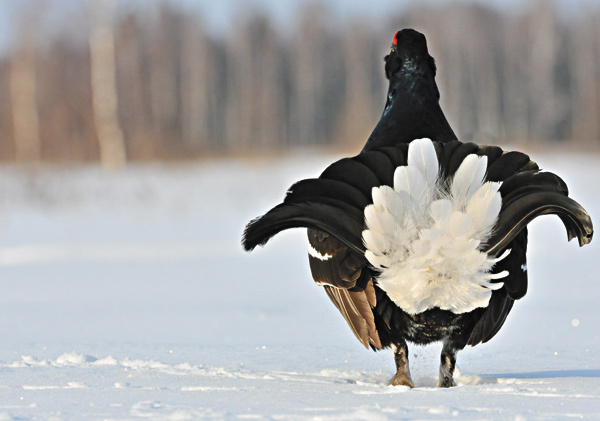 Изображение Фото Дмитрия Щаницина 