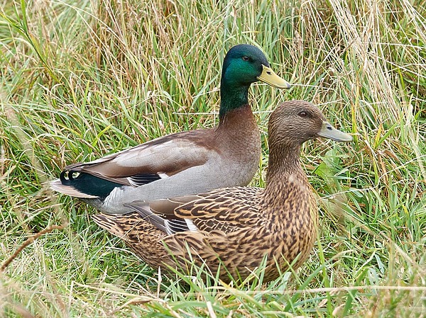 Изображение фото: Fotolia.com