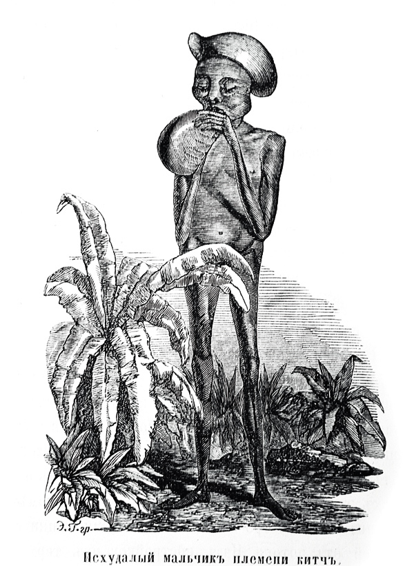 Изображение Иллюстрация из книги