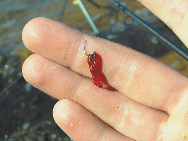 Изображение Фото автора.