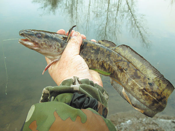 Изображение Фото: Токарева Александра. 