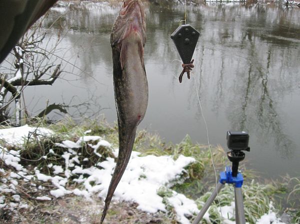 Изображение Фото: Александр Токарев.
