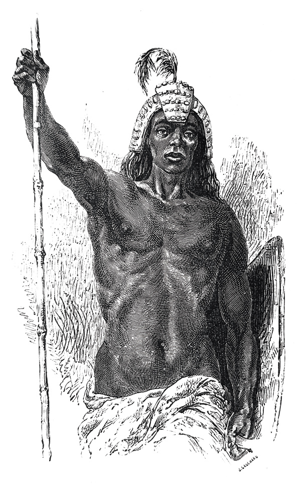 Изображение Иллюстрация из книги