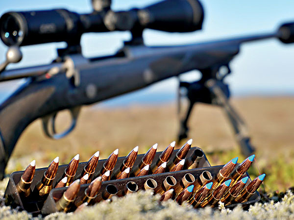 Изображение УБОЙНЫЙ ГОРНЯК 
Самые универсальные и распространенные среди горных охотников калибры — 
.300 Winchester Magnum и .300 Weatherby Magnum. Они верой и правдой служат при охоте в горах охотникам, ищущим достойный трофей на дистанциях до 300 метров. На более далеких дистанциях острота ощущений уже не та. Во-первых, почти все патроны этих калибров доставляют с пулей на дистанцию 300 метров около 3000 Дж, и даже больше, что существенным образом влияет на останавливающее действие пули. Во-вторых, при весе пуль в среднем около 11 г их отклонение от линии прицеливания составляет в среднем 20–30 см, и у охотника есть все шансы на дистанциях 300–400 м добыть трофей, применив свое стрелковое мастерство. ФОТО SHUTTERSTOCK 