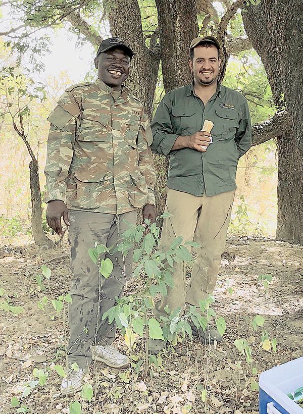 Изображение Фото автора.