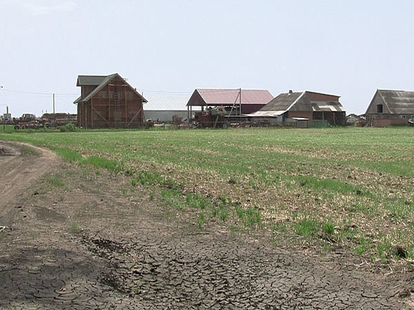 Изображение Фото автора.