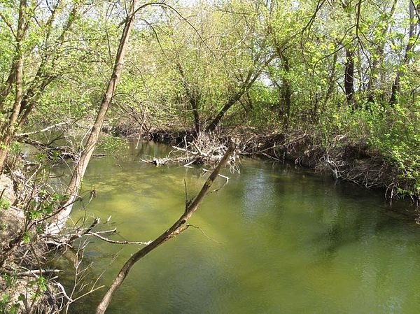 Изображение Фото: Алексей Коломиец. 