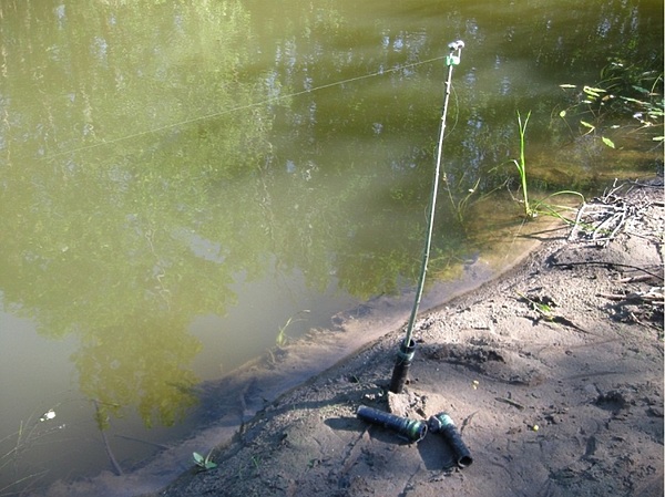Изображение Фото: Токарева Александра. 