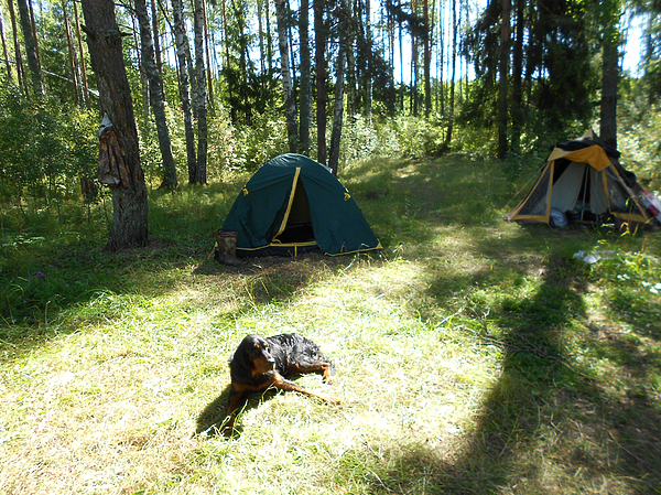 Изображение фото: Алексея Князева